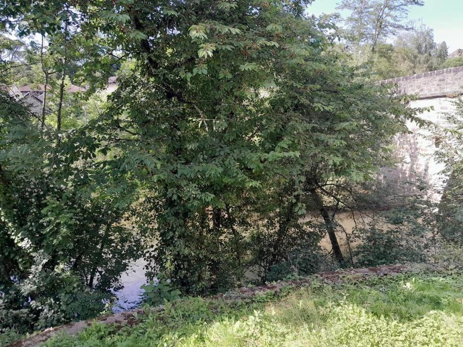 Privatif Equipe En Bord De Riviere Appartement Figeac